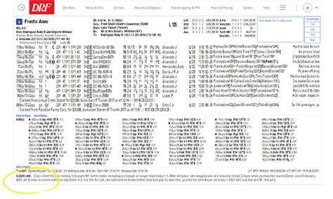 DRF New Classic PPs .
